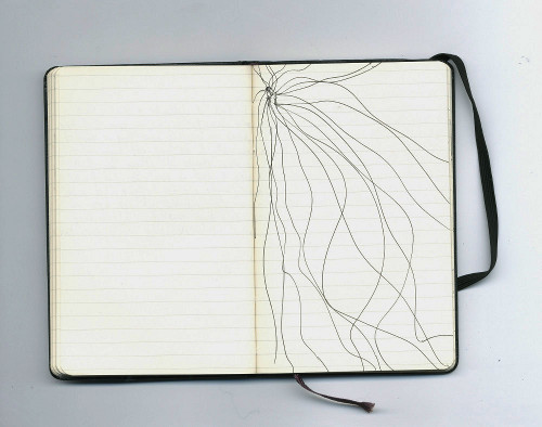 Paula McCloskey, Untitled, 2009