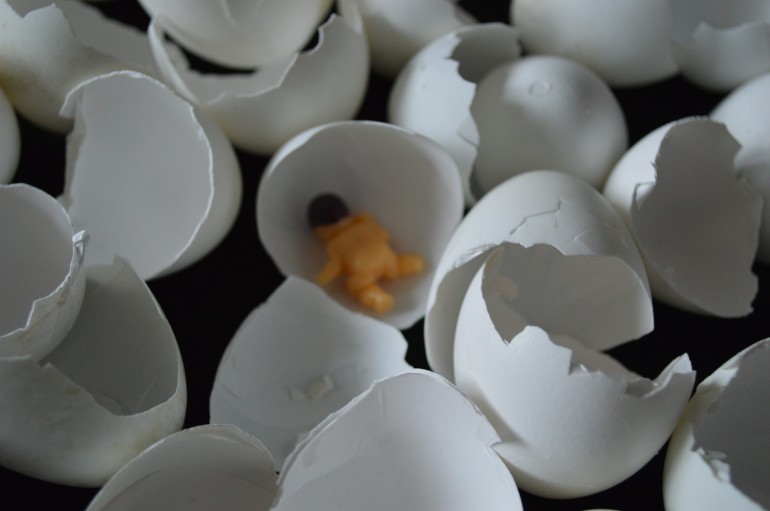 cracked shells