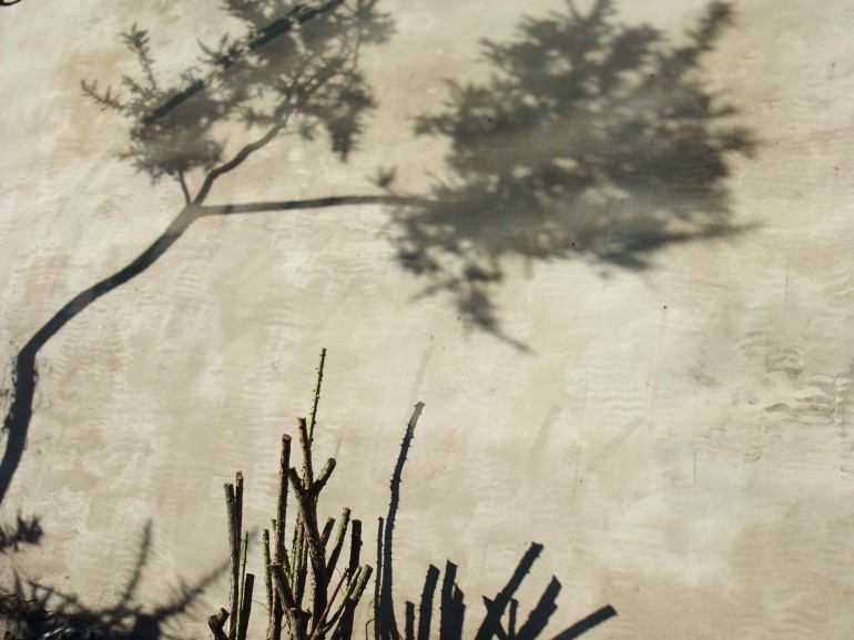 Helen Sargeant ©, Tree shadow, 2013